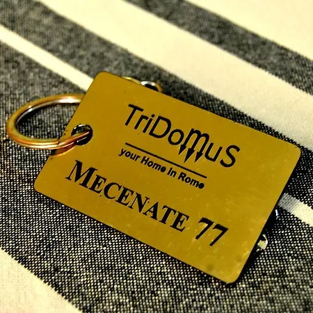 Tridomus - Mecenate 77 روما